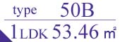 type50B
